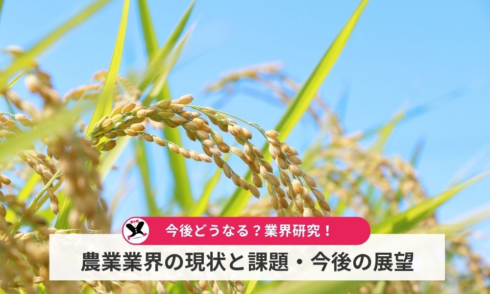 農業業界の現状と課題・今後の展望