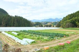 類農園の評判口コミは?直売所の評価/強み/求人採用情報を徹底解説
