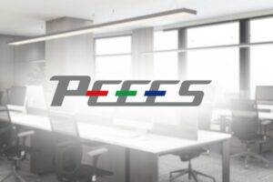 株式会社PEEESの口コミ評判まとめ!離職率/研修制度/働き方の実態とは
