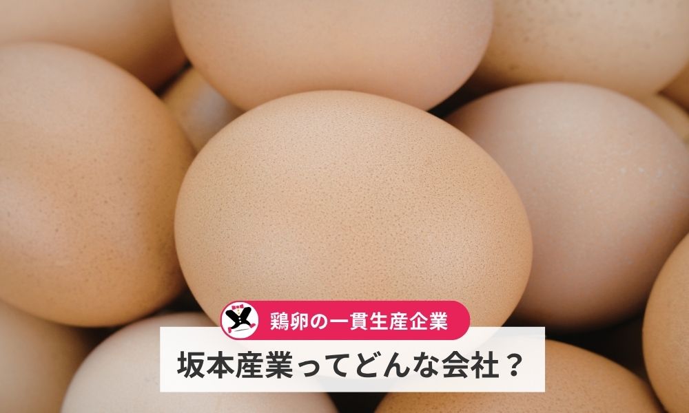 坂本産業ってどんな会社？